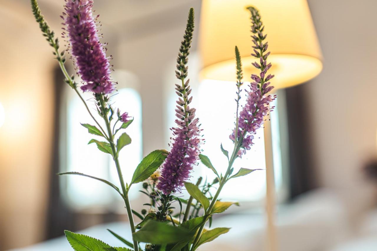 Borgo Dei Gatti Albergo Diffuso & Spa Golferenzo Экстерьер фото